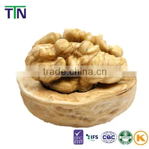TTN 2015 Chinese Price of Walnut Kernel Price thumbnail-5