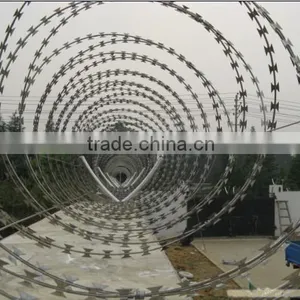 Hot Dipped gi Barbed Wire Cheap Price per Roll (Tommy,website:zheng.tommy1,whatsapp/viber/wechat:86-18032821161) thumbnail-4