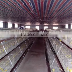 Anping Factory Chicken Egg Laying Cage for Farm thumbnail-6