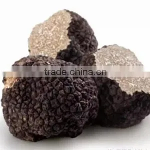 Truffle/Truffe thumbnail-3