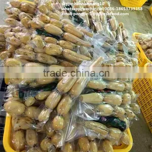 New Crop Fresh Lotus Root thumbnail-2