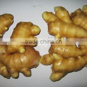 Fresh Vegetables and Fruits thumbnail-1