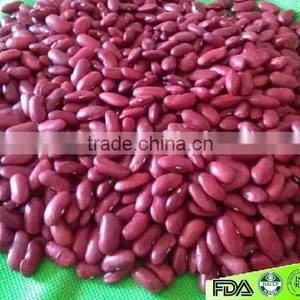Chinese Dark Red Kidney Beans thumbnail-1