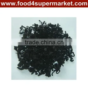 Wakame Kelp thumbnail-1