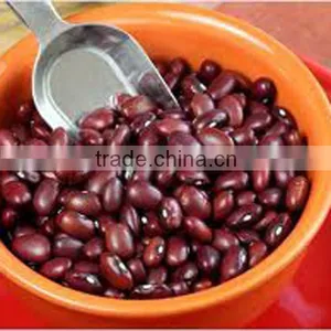 Long Red Wholesale Kidney Beans With Sparkle thumbnail-1