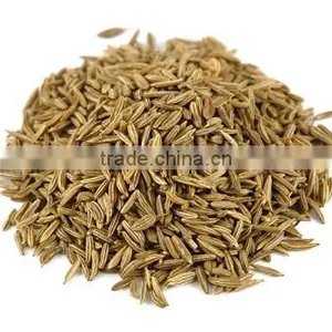 Caraway Seeds thumbnail-1