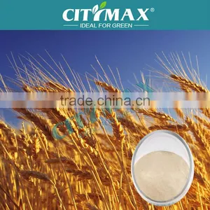 Amino Acid Used As Foliar Fertilizer thumbnail-1