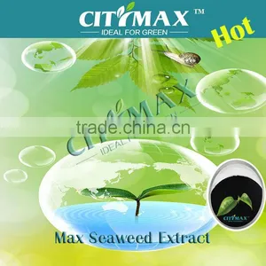 Strong Water Soluble Seaweed Bio Fertilizer thumbnail-1