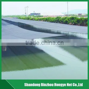 Hdpe Agricultural Sun Shade Netting Greenhouse Shade Netting for Vegetable and Fruit thumbnail-3