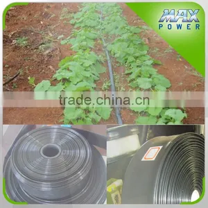 Single Span Greenhouse Micro Spray Tape thumbnail-6