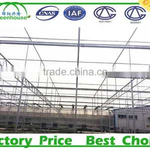 Commercial Metalic Greenhouse thumbnail-3