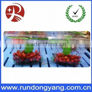 Transparent Plastic Slider Zip Lock Packaging Fruit Bag for Cheery and Grape thumbnail-4