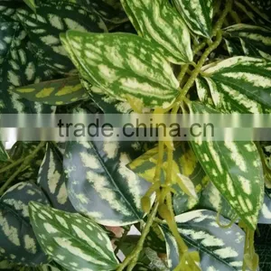 Fake Wall Hanging Plant Foliage thumbnail-3