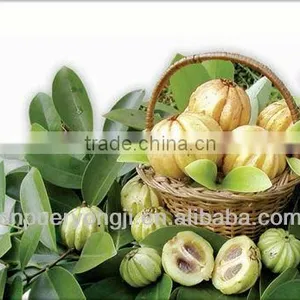 100% Natural Garcinia Cambogia Green Slimming Capsule thumbnail-1