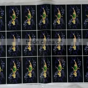 Pvc Heat Transfer Printing Film thumbnail-1