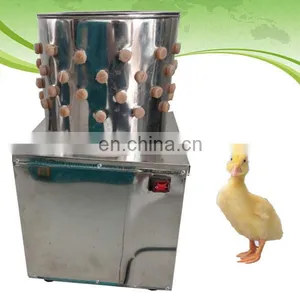 TA-30 Hot Sell Small Bird Quail Plucker Machine Abattoirin Equipment Chile and Brazil thumbnail-4