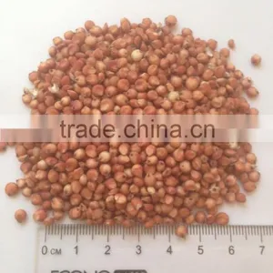 Red Sorghum thumbnail-1