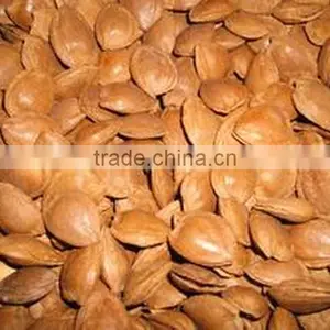 Sweet Apricot Kernels thumbnail-1