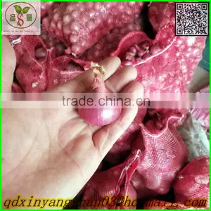 Red Onion/Shallot/Red Scallions -(website:qdxinyangshan03) thumbnail-5
