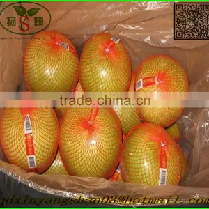 Pomelo / Yellow Pomelo /green Pomelo thumbnail-2
