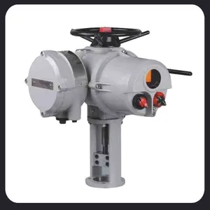 Straight Stroke Electric Actuator IQ18+VE64/1625FNP Electronic Electric Actuator thumbnail-3