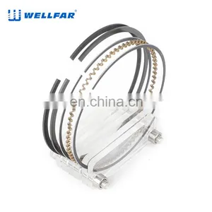 Wellfar Auto Parts Steel Ring Piston 96mm for Chevrolet Trail Blazer Yukon Silverado 2500,3500 Escalade Car thumbnail-1