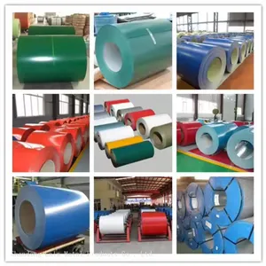 Good Quality Pre-painted Steel Coil Ppgl Coil Colored Coated Coil From Shandong thumbnail-5