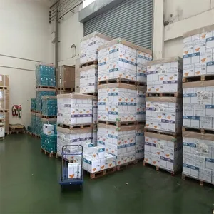 Wholesale A4 70gsm copypaper 500 Sheets/80 GSM A4 Copy Papers A4 thumbnail-5