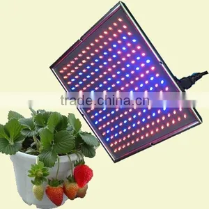 Changeable Color 20W Led Flood Light for Plants Led Grow Light LED thumbnail-2