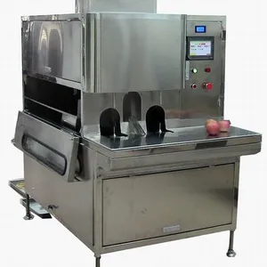 Factory Industrial PLC Full Automatic Apple Kivi Mango Peel Skin Removing Equipment Orange Lemon Peeler Fruit Peeling Machine thumbnail-6