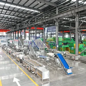 Fast Drying Tunnel Mesh Belt Automatic Food Drying Processing Line thumbnail-3