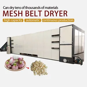 Full Automatic Garlic Production Line Fresh Garlic Peeling Washing Drying Milling Integrated Processing Equipment Plant EPC thumbnail-1