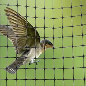 Plastic Bird Netting Factory Price thumbnail-4