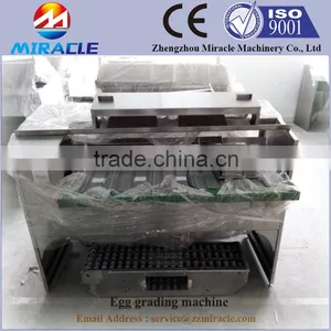 10,000 Eggs Production Capacity Grading and Sorting Eggs Process Machine, Sus304, Carbon Steel Egg Grading Sorter thumbnail-2