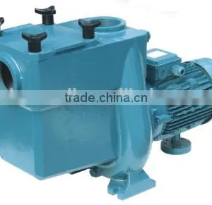 Metal Pool Pump thumbnail-1