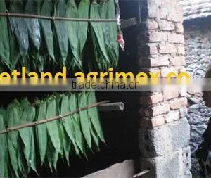 Dry Big Size Bamboo Leaves thumbnail-6