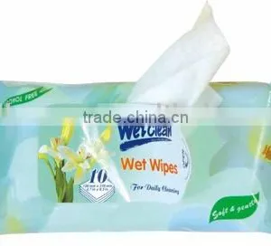 Wet Wipes thumbnail-1