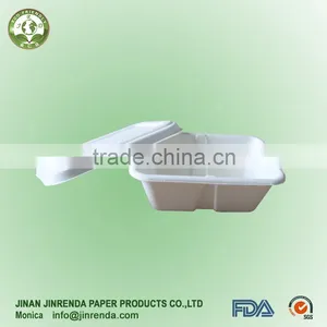 Sugarcane Pulp Salad Box thumbnail-1