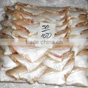 FROZEN LEATHER JACKET FISH thumbnail-6