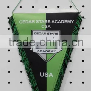 Printed Pennant With Colored Fringe thumbnail-2