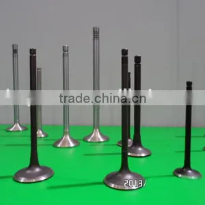 056109601A & 056109611A Engine Valve for Passat thumbnail-3