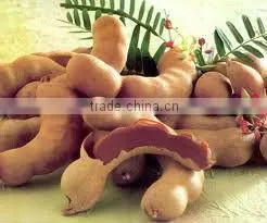 Tamarind thumbnail-1