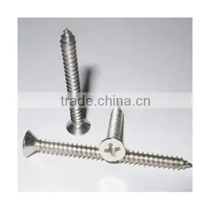 Philips Flat Head Self-tapping Screw thumbnail-1