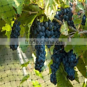 Plastic Anti-Bird Mesh/ Pond Covering Mesh/Anti-Bird Mesh thumbnail-4