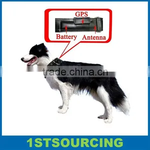 GPS Tracking Chip For Dogs / Leather GPS Dog Collar Tracker thumbnail-1