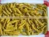 High Quality Yellow Turmeric Finger thumbnail-1