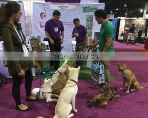 Zhejiang Wake Technologies Co., Ltd. company overview - view 3 thumbnail