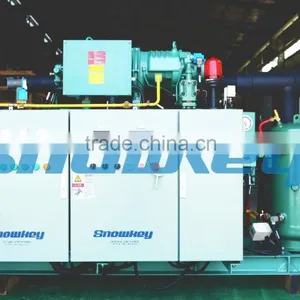 CHINA TOP 1 Commercial Ice Maker 10T Plate Ice Maker High Quality Ice Making Machine thumbnail-2