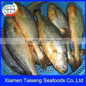 Yellow Croaker Seafood thumbnail-1