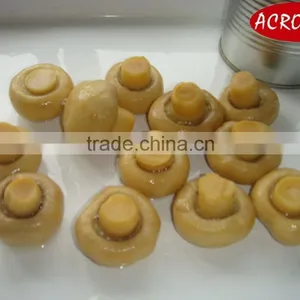 Chinese High Quality Canned Fresh Mushroom Whole thumbnail-1